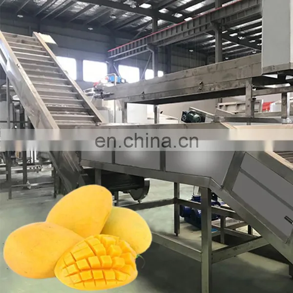 Automatic Fresh Fruit Processing Mango Pulp Manufacturing Process photo-3