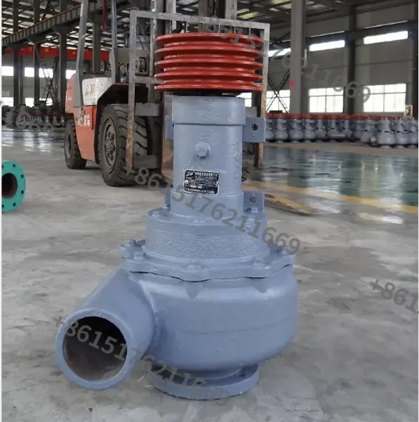 Sand Coal Gold Suction Slurry Pump for Industrial Mining Management photo-4