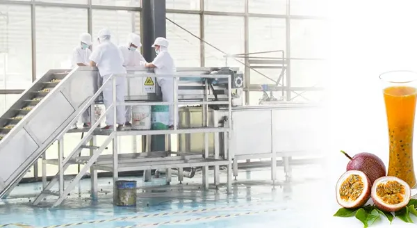 Passion Fruit Pulp Processing Production Line photo-3