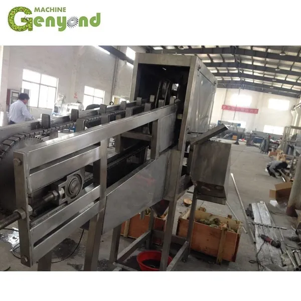 Shanghai Full Automatic Electric Coconut Meay Grinder Grinding Machine Coconut Meat Shredder Grater photo-5