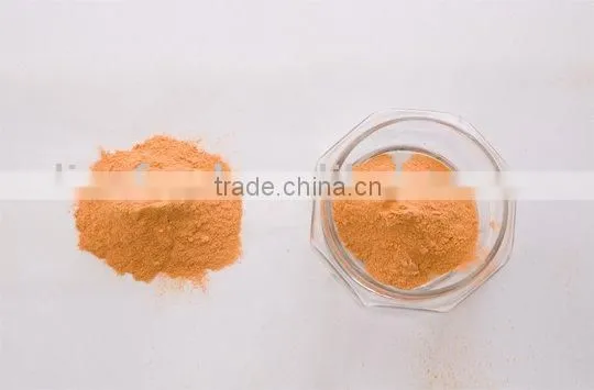 Spray Drying Carrot Powder
