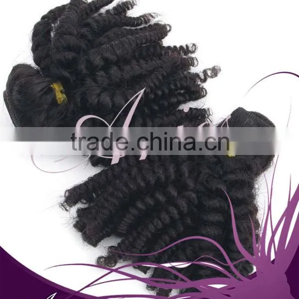 Brazilian Unprocessed Virgin Afro Kinky Curly Human Hair Weft photo-2