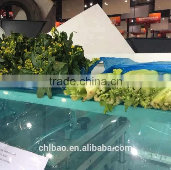 Multifunctional Automatic Fruits&vegetables Pillow Packing Machine Price photo-2