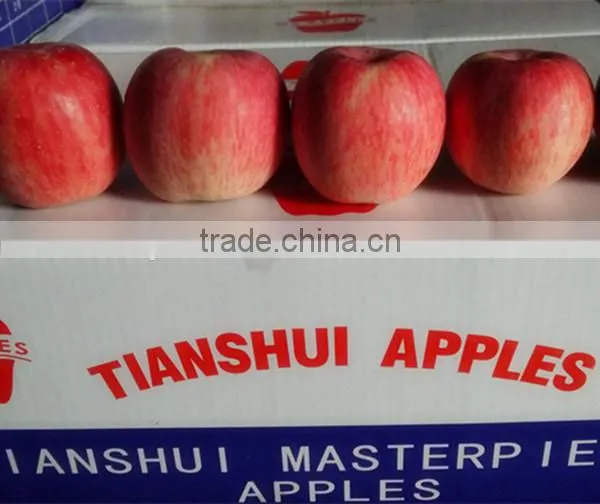 Fuji Apples Fresh Fuji Apple photo-5
