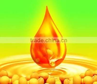 Sunflower Oil Extraction Machine photo-5