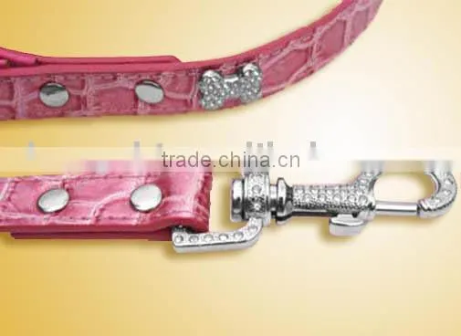Pet Leash