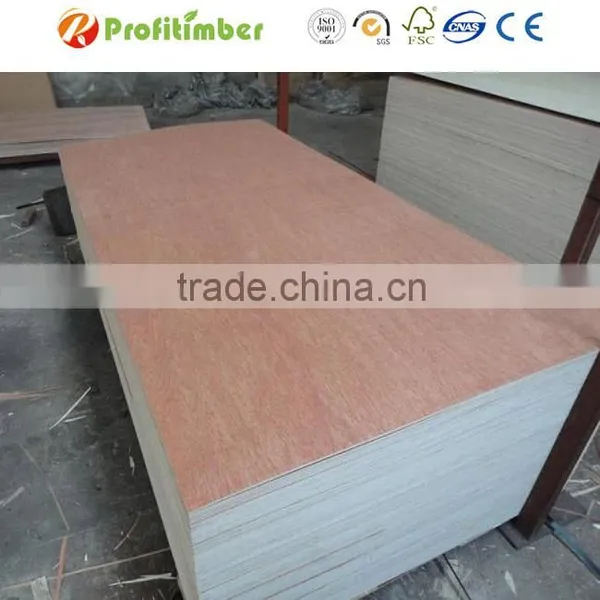 Profitimber Cheap Raw Big Size 5x9 Plywood photo-3