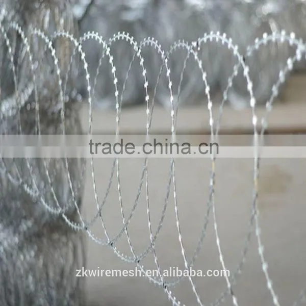 Hot Sale Razor Barbed Wire With Low Price photo-2