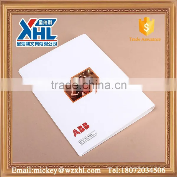 Fashion New Product Display Folder With Inner Pages photo-4