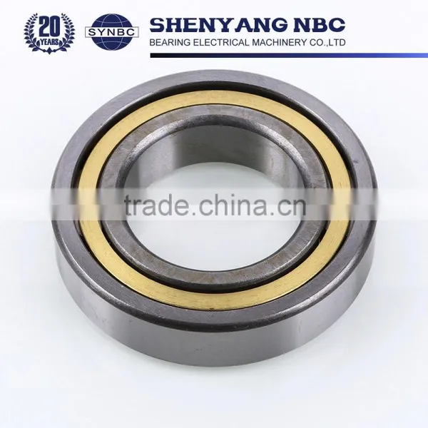 Cheap Bearing Chrome Steel Gcr15 NU303 NU204 NU205 Cylindrical Roller Bearing photo-5