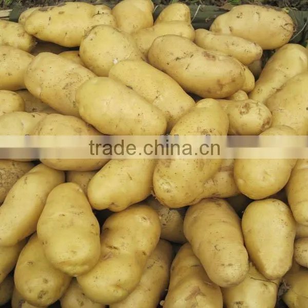 Fresh Vegetable Fresh Potato