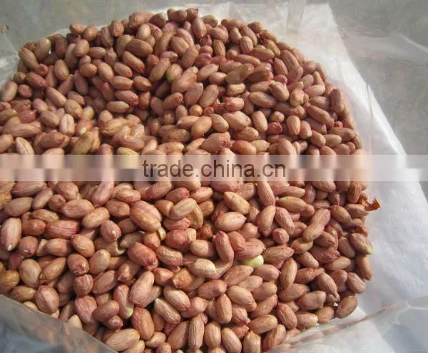 Peanut Kernel 2011 Crop