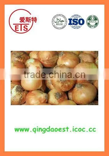 BUlk 2016 New Crop Fresh Yellow Onion photo-3
