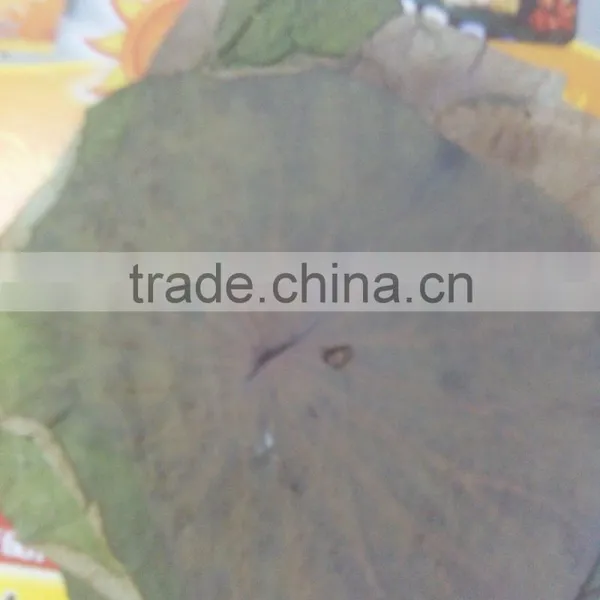 DRIED LOTUS LEAVES photo-3
