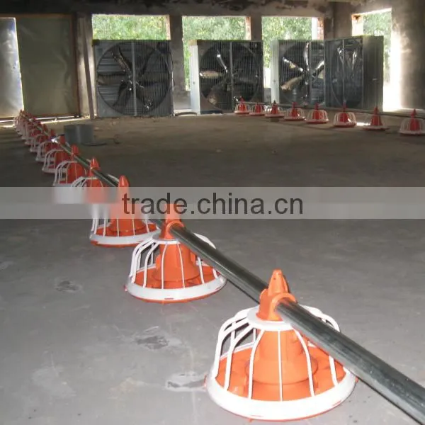 Automatic Poultry Equipment Feeder for Chicken photo-2