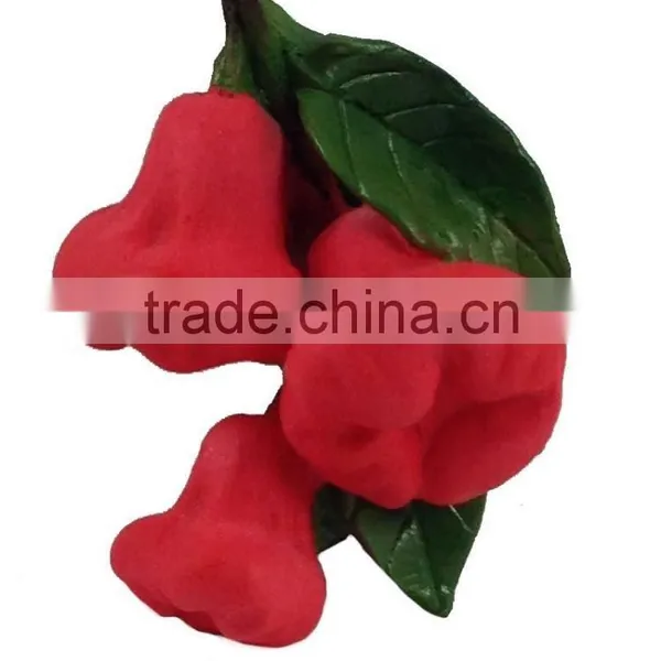 ROSE APPLE FRUIT MAGNET RESIN 3D FRIDGE MAGNET SOUVENIR photo-2