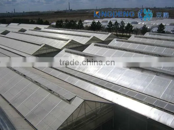 Venlo Roof Agricultural Polycarbonate Sheet Greenhouse photo-4