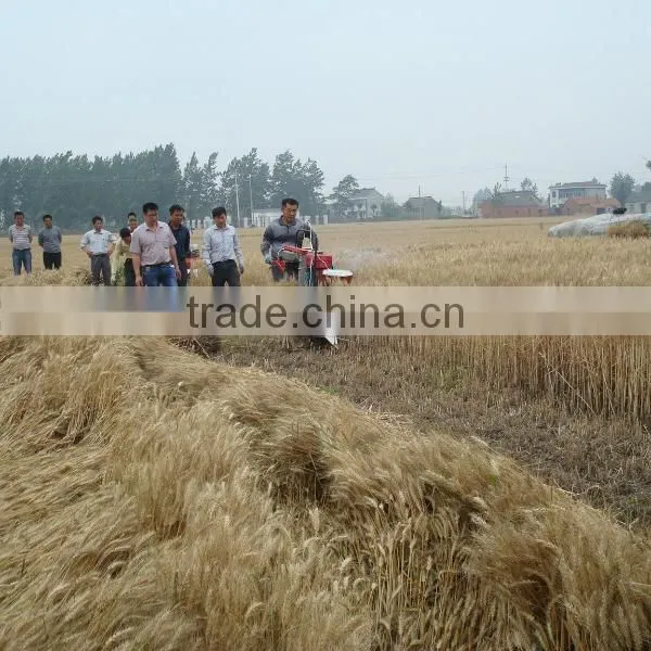 4GK100 Mini Rice and Wheat Reaper Binder Machine photo-6
