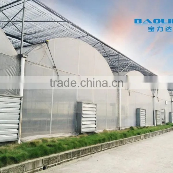 BaoLiDa High Quality PE Sheet Greenhouse Hot-dip Galvanized Steel Tube Tomato Greenhouse photo-3