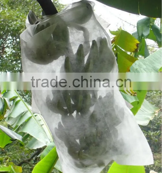 Spunbond 100% pp Nonwoven Fabric Non Woven Fabric Agriculture Fabric photo-3