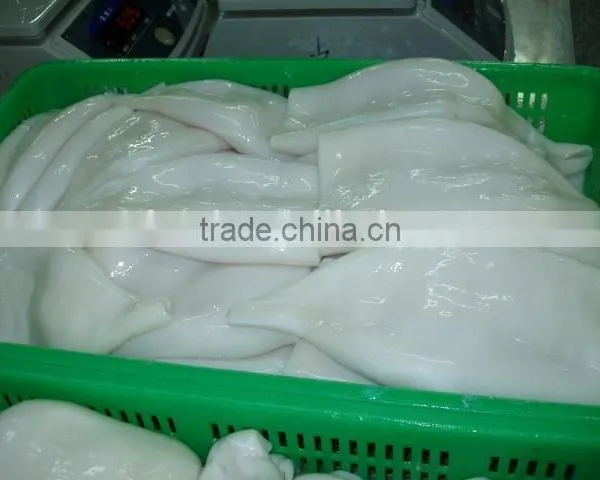 EU Standard Pacific Squid Tube photo-2