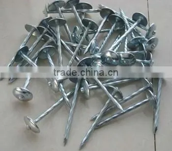 Type of Roofing Nails With Umbrella Head photo-2