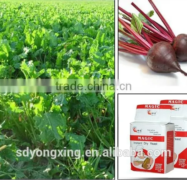 500g/bag High Sugar Instant Dry Yeast Made in China photo-4
