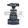 Forged Steel Valve