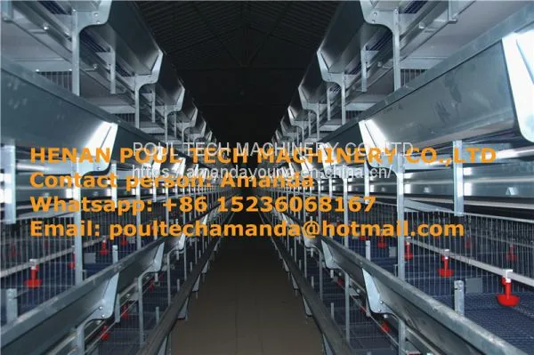 Kuwait Chicken Shed With Poultry Cage for Chicken Feed for Brooding Chicks in Poultry Farming With Chicks Cage photo-2