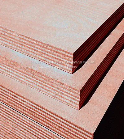 Commercial Plywood photo-3