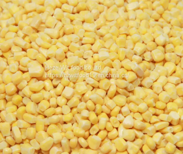 IQF Sweet Corn Kernels photo-2