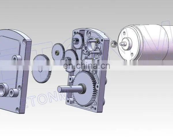 Motor DC Motor 12v 20nm 24v DC Gear Motor photo-3