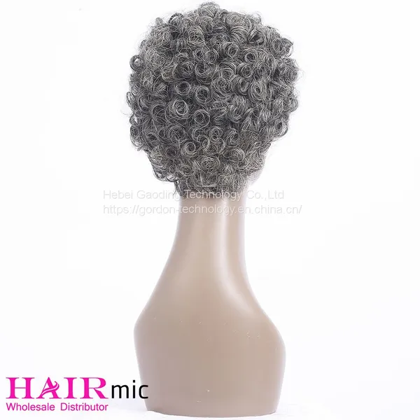 Gray Short Curly Full Lace Human Hair Wig Vendor photo-4