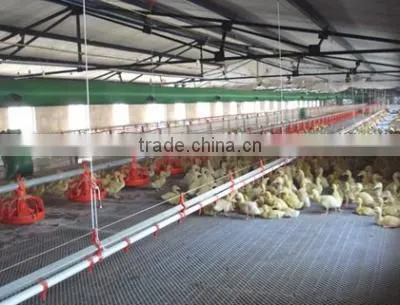 Steel Structure Workshop, Steel Structure Poultry House and Poultry Farming Workshop photo-2