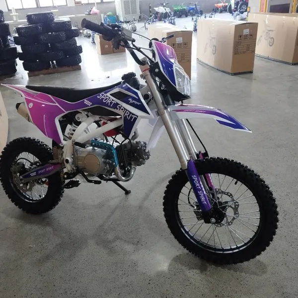 125CC off Road Motorycle Dirt Bike Pitbikes