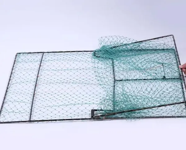 Bird Nets Humane Traps Sparrow Bird Pigeon Quail Humane Live Catching Bird Cage Size 50x60cm photo-6