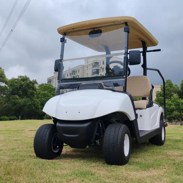 Clubcar Motor photo-5