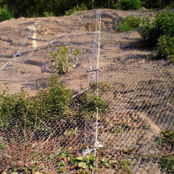 Hr20 Steel Geocomposite 80*100mm Drape Mesh System Rockfall Protective Mesh Price for Coastal Protection photo-4