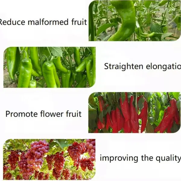 Agrochemical Root Growth Regulator Indole 3 Butyric Acid Potassium Salt 98%TC Ibak photo-3