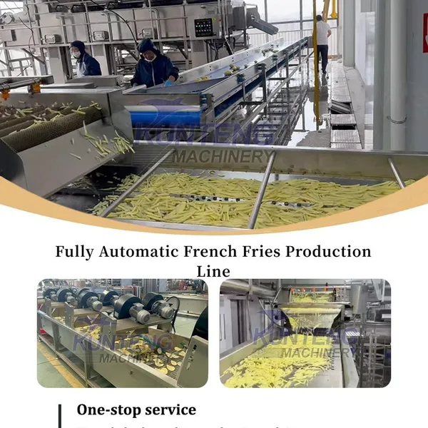 Stainless Steel Fruit Slices Frying Processing Line Intelligent French Fries Equipment photo-3