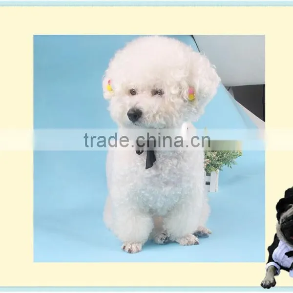 Lovely Pet Tie Cheap Wholesale photo-3