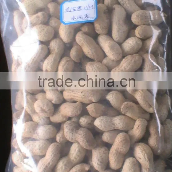 Chinese Best Selling Prosucts Raw Organic Peanuts Ground Nut in Shell Peanut in Shell 9/11 11/13 photo-6