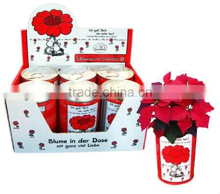 Flower Can,can Flower,flower Tin photo-3