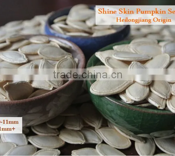 Yellow Pumpkin Seeds in Shell photo-2