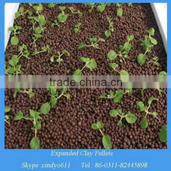 Agriculture Plants Soil Lightweight Expanded Clay Aggregate photo-3