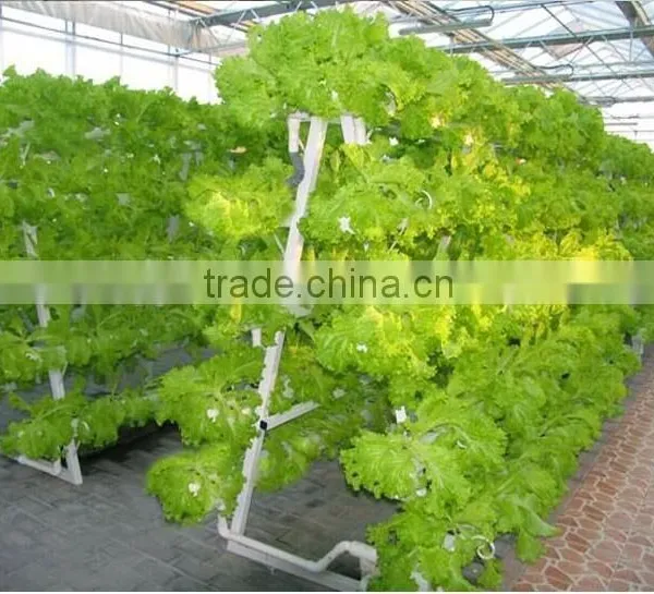 Hydroponics Tower for Vegetable Greenhouse photo-3