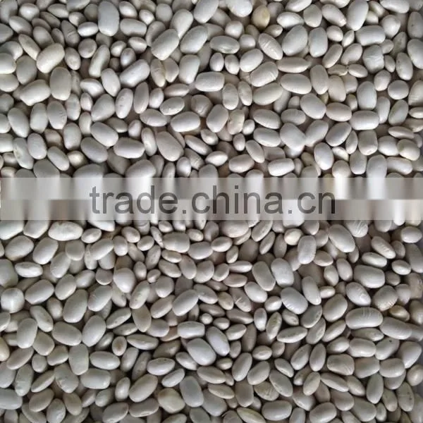 FDA ,KOSHER Canned White Kidney Beans photo-2