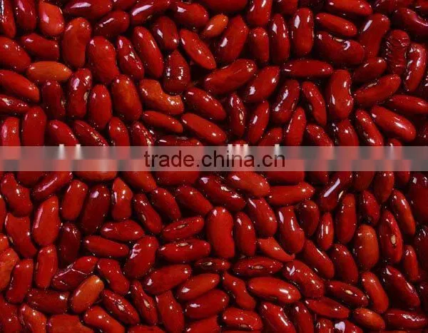 We Are Supply Kidney Beans, Dark Red Kidney Beans for Sale photo-3