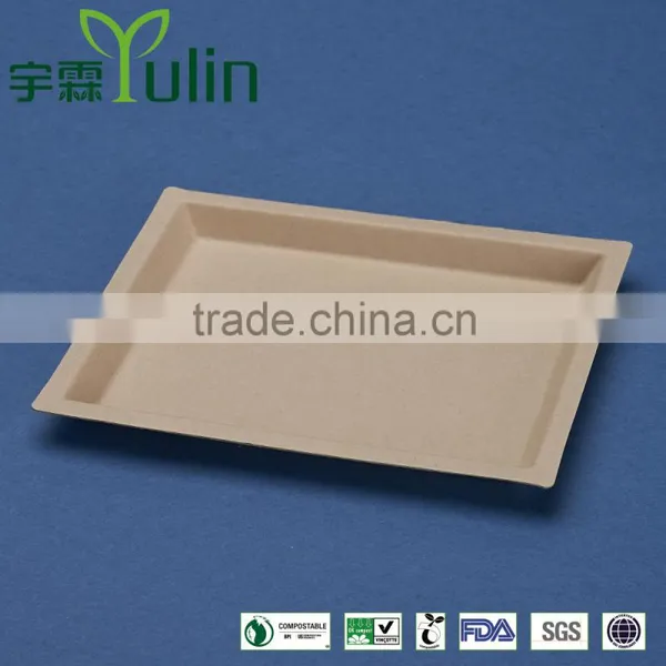 PL-75-UB 7*5 Inches Unbleacheddisposable Flate Rectangle Shape Sugarcane Dinner Plates Quality Choice
