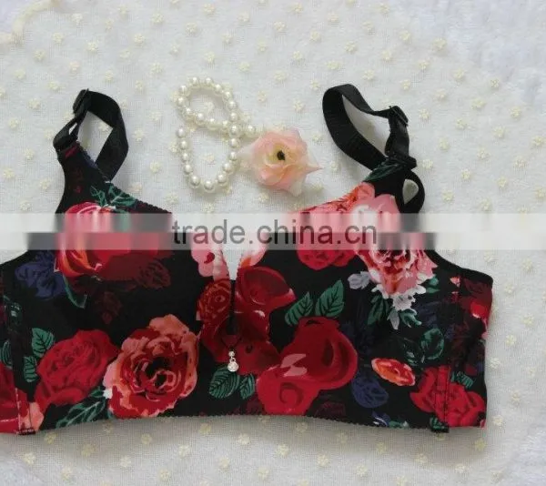 Paris Stylish Bra